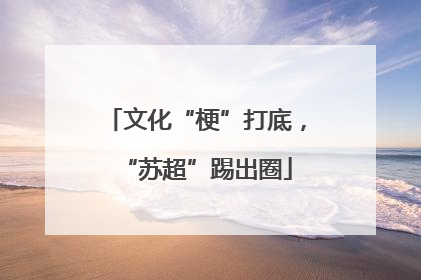 文化“梗”打底，“苏超”踢出圈
