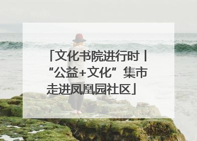 文化书院进行时丨“公益+文化”集市走进凤凰园社区