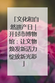 文化和自然遗产日｜开封市博物馆：让文物焕发新活力绽放新光彩