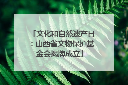 文化和自然遗产日：山西省文物保护基金会揭牌成立