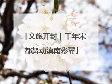 文旅开封｜千年宋都舞动滇南彩翼