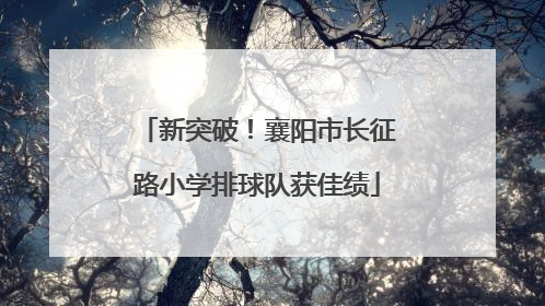 新突破！襄阳市长征路小学排球队获佳绩