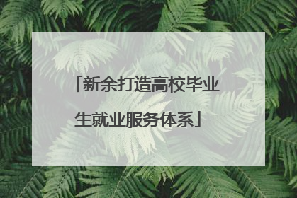 新余打造高校毕业生就业服务体系