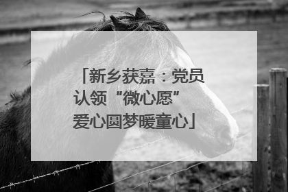 新乡获嘉：党员认领“微心愿” 爱心圆梦暖童心