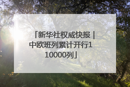 新华社权威快报｜中欧班列累计开行110000列