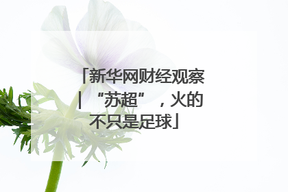新华网财经观察｜“苏超”，火的不只是足球