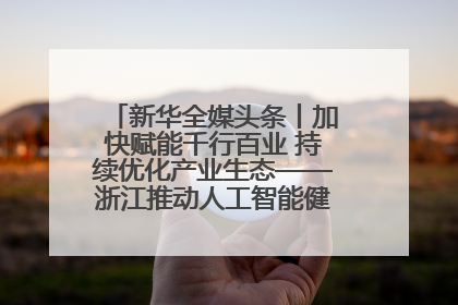新华全媒头条丨加快赋能千行百业 持续优化产业生态——浙江推动人工智能健康有序发展观察