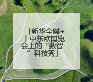 新华全媒+丨中东欧博览会上的“数智”科技秀