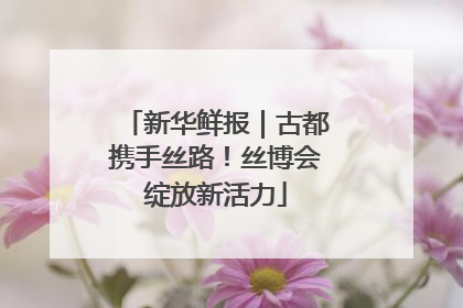 新华鲜报｜古都携手丝路！丝博会绽放新活力