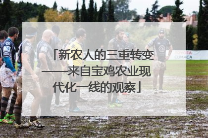 新农人的三重转变——来自宝鸡农业现代化一线的观察