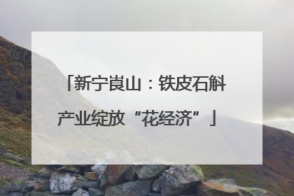 新宁崀山：铁皮石斛产业绽放“花经济”