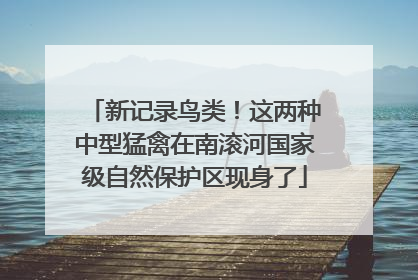 新记录鸟类！这两种中型猛禽在南滚河国家级自然保护区现身了