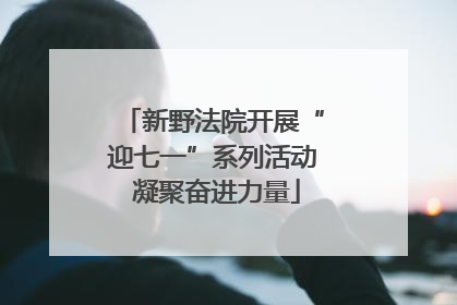 新野法院开展“迎七一”系列活动 凝聚奋进力量
