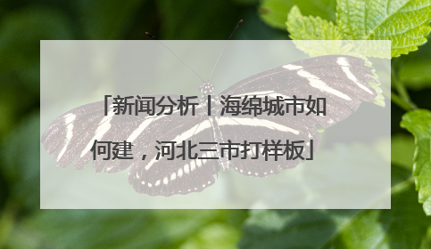 新闻分析丨海绵城市如何建，河北三市打样板
