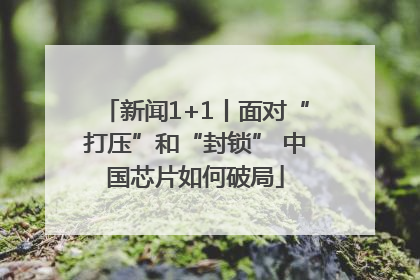 新闻1+1丨面对“打压”和“封锁” 中国芯片如何破局