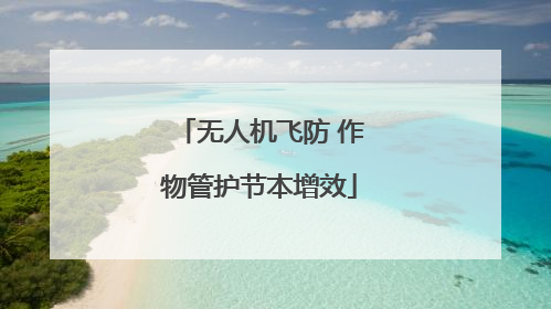 无人机飞防 作物管护节本增效