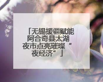 无锡援疆赋能 阿合奇县太湖夜市点亮璀璨“夜经济”