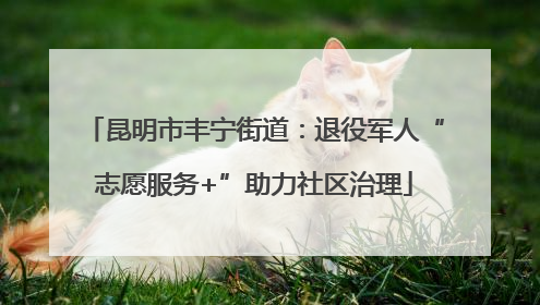 昆明市丰宁街道：退役军人“志愿服务+”助力社区治理