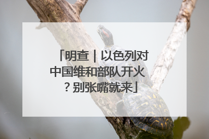 明查｜以色列对中国维和部队开火？别张嘴就来