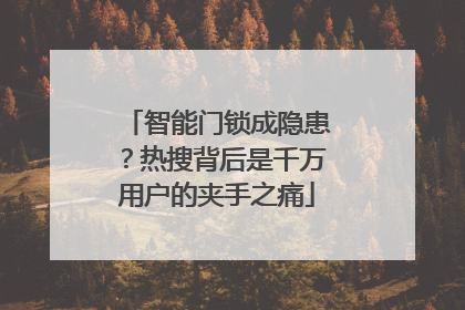 智能门锁成隐患？热搜背后是千万用户的夹手之痛
