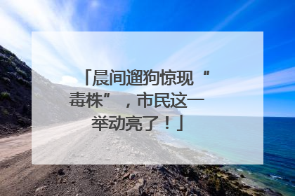 晨间遛狗惊现“毒株”，市民这一举动亮了！