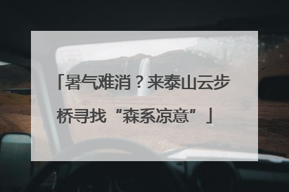 暑气难消？来泰山云步桥寻找“森系凉意”