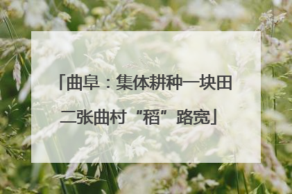 曲阜：集体耕种一块田 二张曲村“稻”路宽