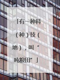 有一种科（种）技（地），叫“吨粮田”