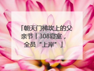 朝天门梯坎上的父亲节丨308寝室，全员“上岸”