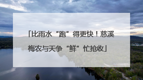 比雨水“跑”得更快！慈溪梅农与天争“鲜”忙抢收