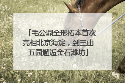 毛公鼎全形拓本首次亮相北京海淀，到三山五园邂逅金石潍坊