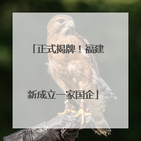 正式揭牌！福建新成立一家国企
