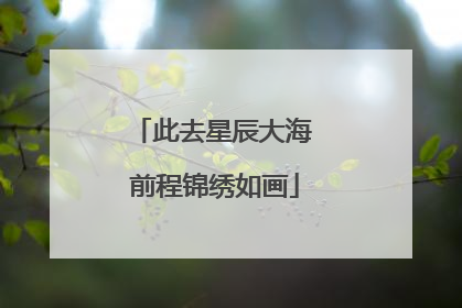此去星辰大海 前程锦绣如画