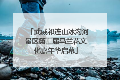 武威祁连山冰沟河景区第二届马兰花文化嘉年华启幕