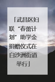 武昌区妇联“春蕾计划”助学金捐赠仪式在白沙洲街道举行