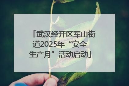 武汉经开区军山街道2025年“安全生产月”活动启动