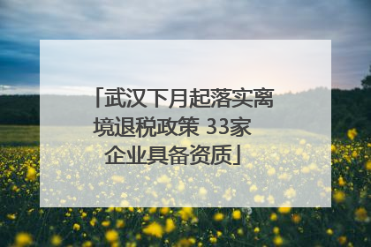 武汉下月起落实离境退税政策 33家企业具备资质
