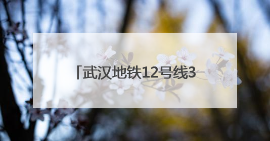武汉地铁12号线37个站名正式公布