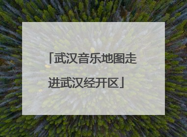 武汉音乐地图走进武汉经开区