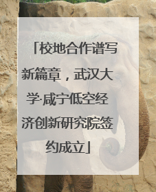 校地合作谱写新篇章，武汉大学·咸宁低空经济创新研究院签约成立