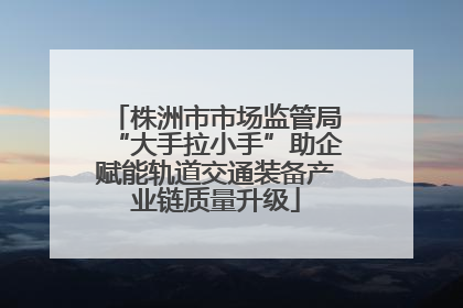 株洲市市场监管局“大手拉小手”助企赋能轨道交通装备产业链质量升级