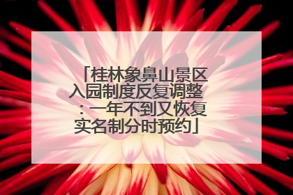 桂林象鼻山景区入园制度反复调整：一年不到又恢复实名制分时预约