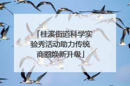 桂溪街道科学实验秀活动助力传统商圈焕新升级