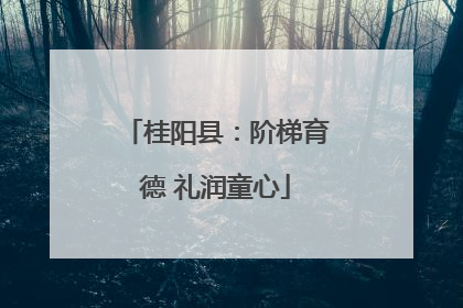 桂阳县：阶梯育德 礼润童心