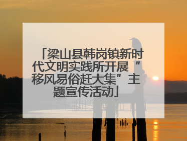 梁山县韩岗镇新时代文明实践所开展“移风易俗赶大集”主题宣传活动