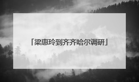 梁惠玲到齐齐哈尔调研