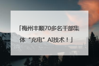 梅州丰顺70多名干部集体“充电”AI技术！
