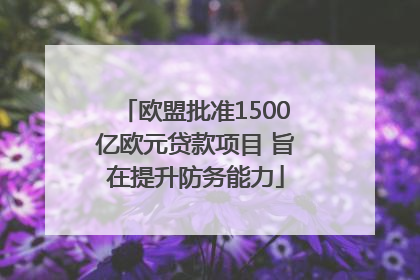欧盟批准1500亿欧元贷款项目 旨在提升防务能力