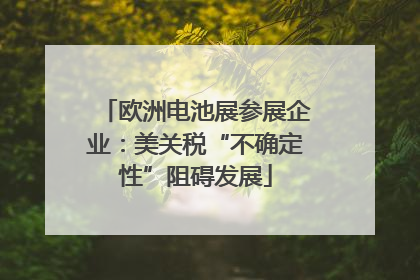 欧洲电池展参展企业：美关税“不确定性”阻碍发展