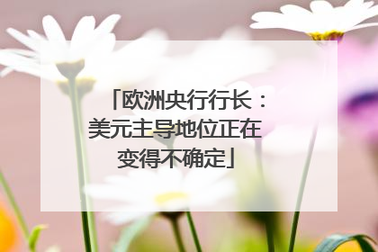 欧洲央行行长：美元主导地位正在变得不确定